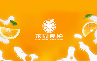 某良橙——济宁LOGO设计